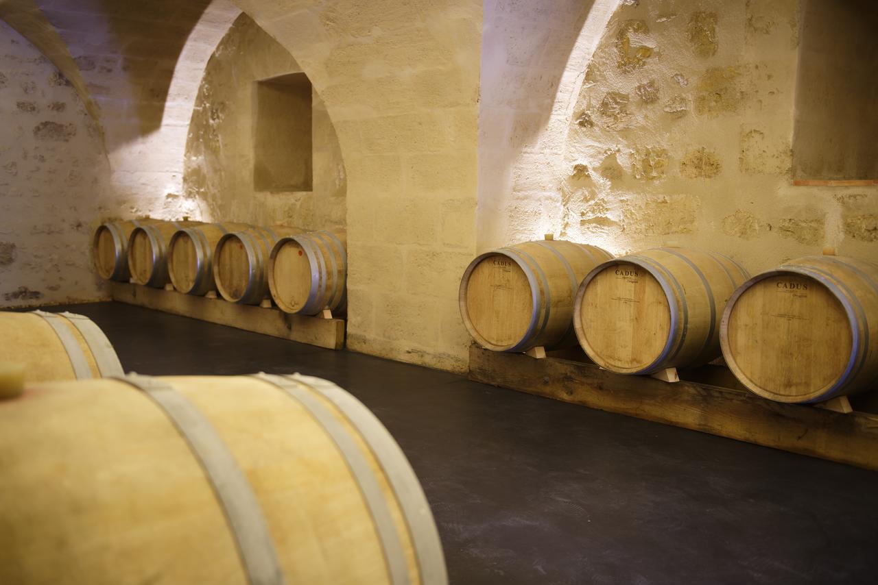 Chambres D'Hotes De Chateau Renon Tabanac Экстерьер фото